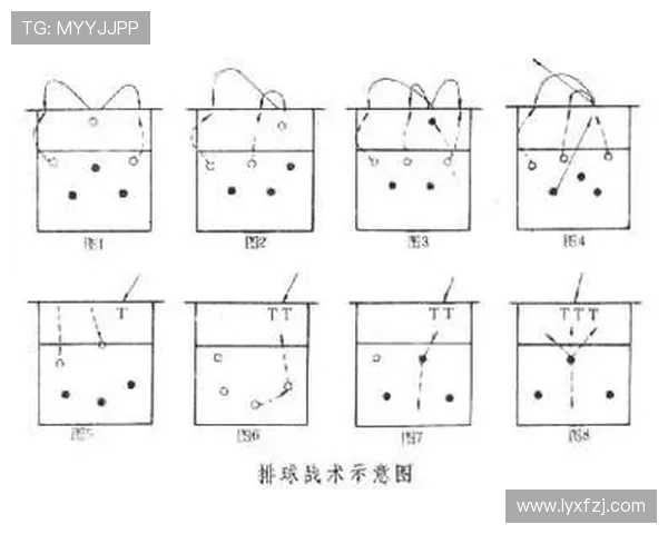 西安排球队的排球进攻战术解析与实战应用探讨