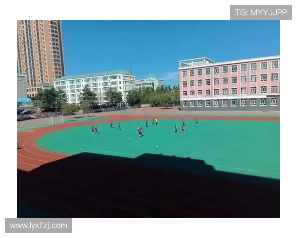 佳木斯足球明星涉嫌违法事件引发广泛关注与讨论